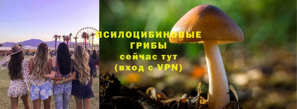 прущие крисы Беломорск